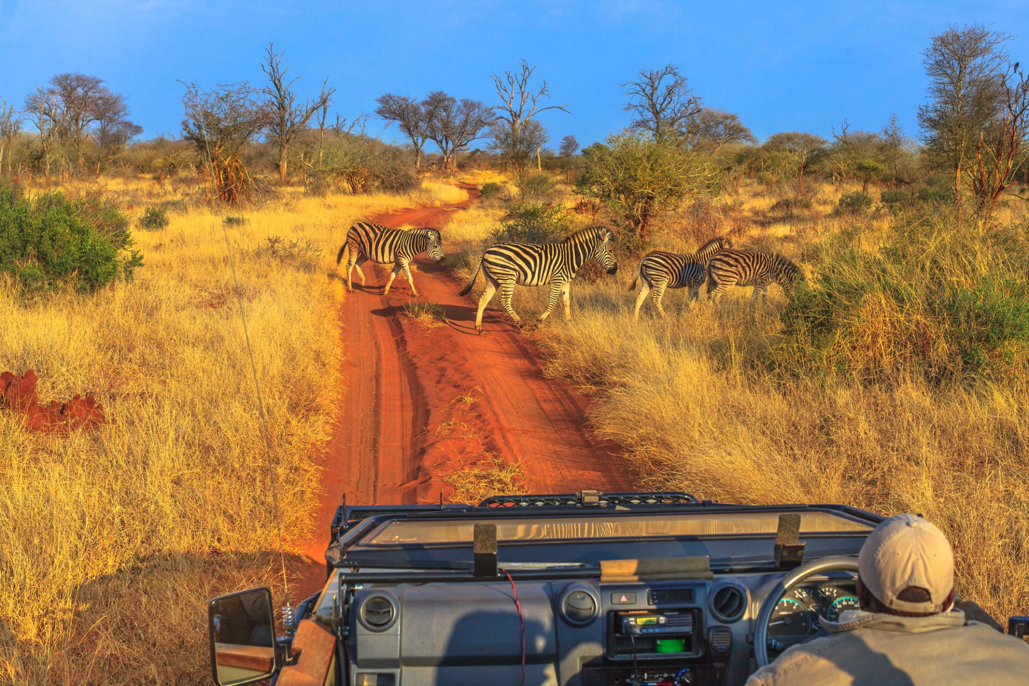 NP Kruger