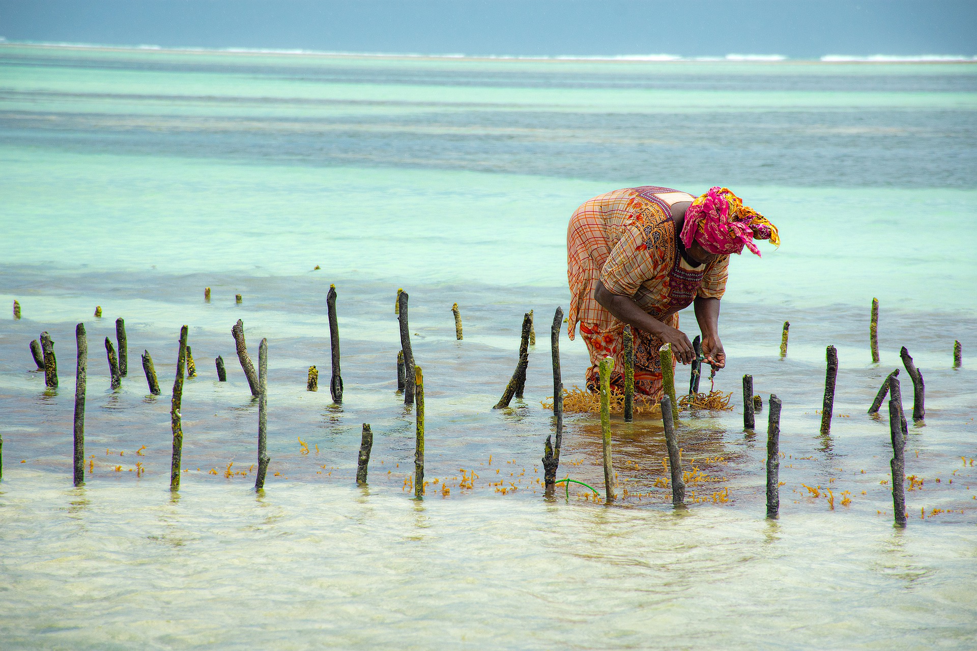 Zanzibar